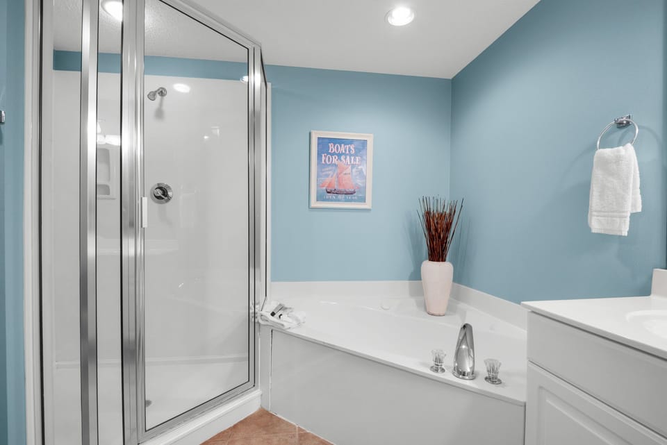 Master bathroom tub and shower