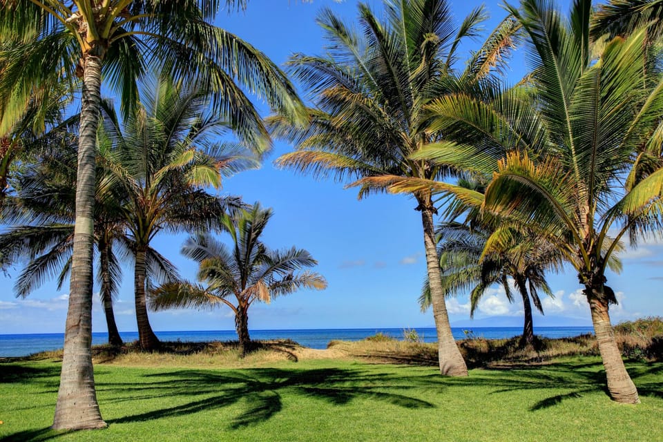 Beach Access right from Your Backyard!