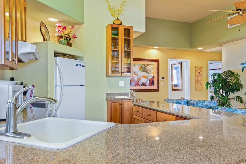 Kitchen as seen from behind the counter, looking out to the fridge and sink.