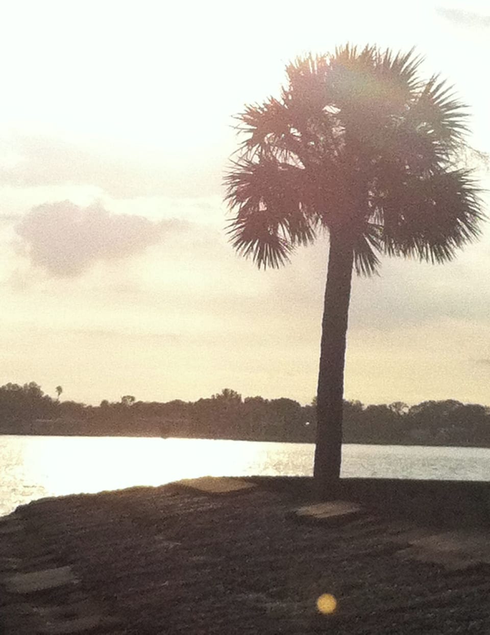 Beautiful view from the Mission grounds right next door. 