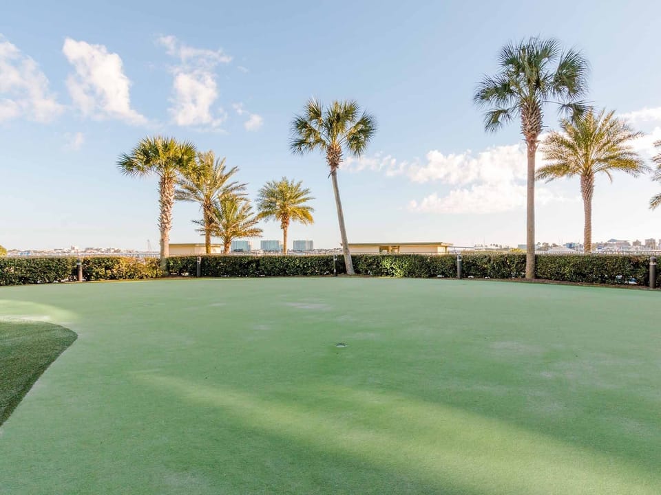 Putting Area