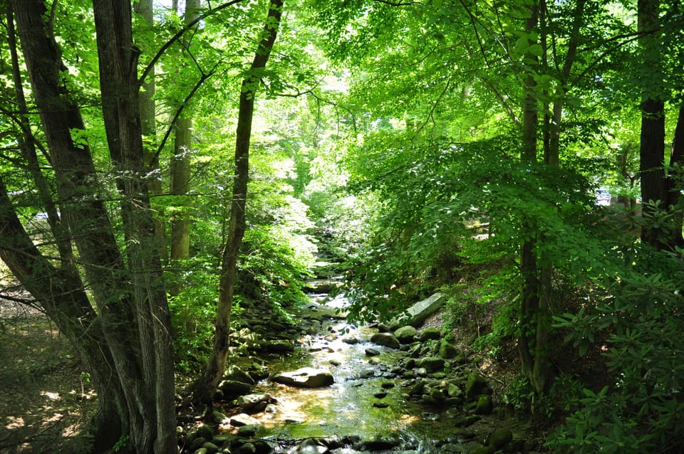 Streams and Rivers - See the beautiful streams, rivers, and waterfalls of the Park just 10 minutes from Zen Garden Cabin