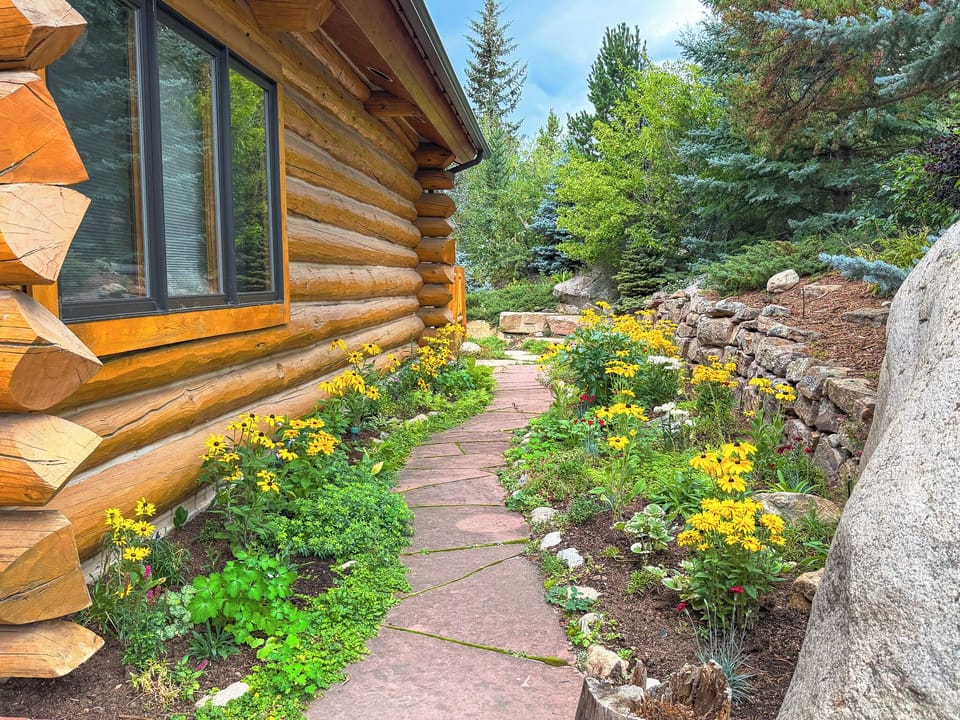 Wild Flower Garden