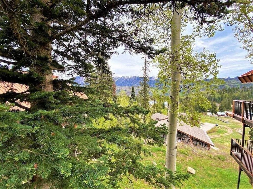 Views from the Deck