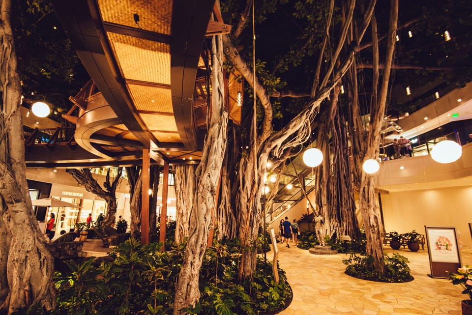 Take a Walk Around the International Market Place