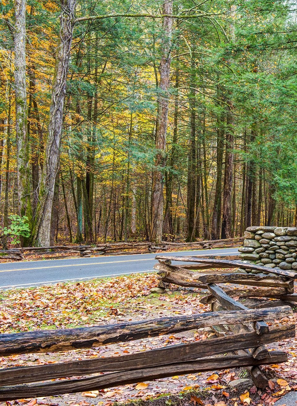 Adventure Awaits in Great Smoky Mountains National Park