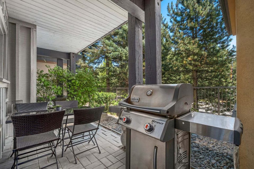 Patio w/ BBQ