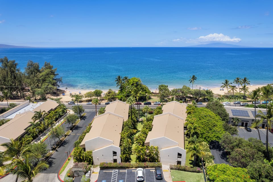 Maui Banyan Aerial View