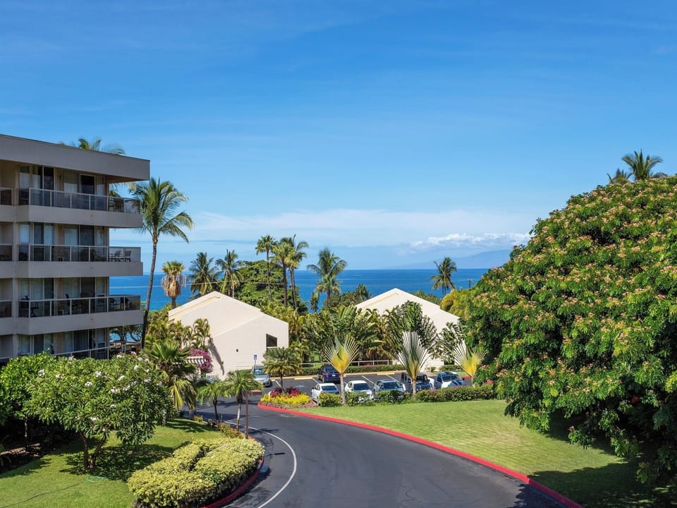 Maui Banyan Complex Grounds + Views