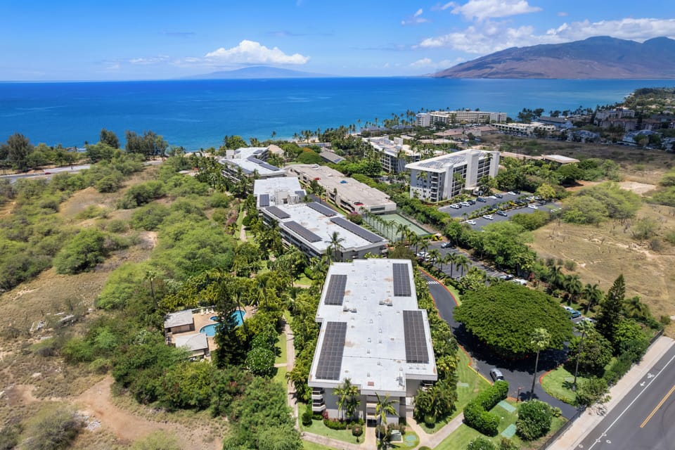Maui Banyan Aerial View