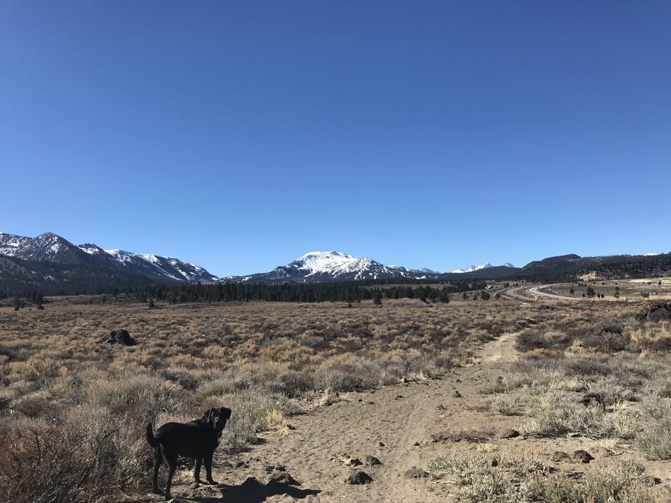 Mountainback #41, Loft Apartment in Mammoth Lakes