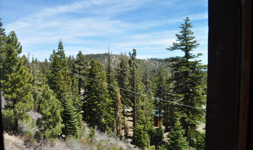 Side window view