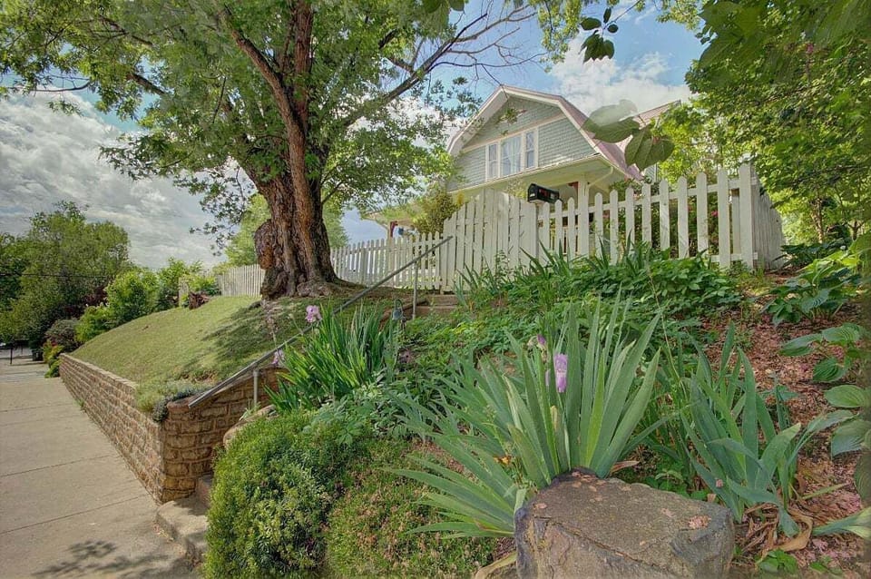Street view of the Tree House as you approach