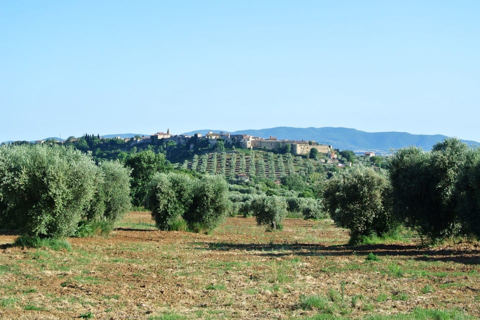 Sky, Plant, Plant Community, Ecoregion, Natural Environment, Natural Landscape, Tree, Vegetation, Land Lot, Grassland