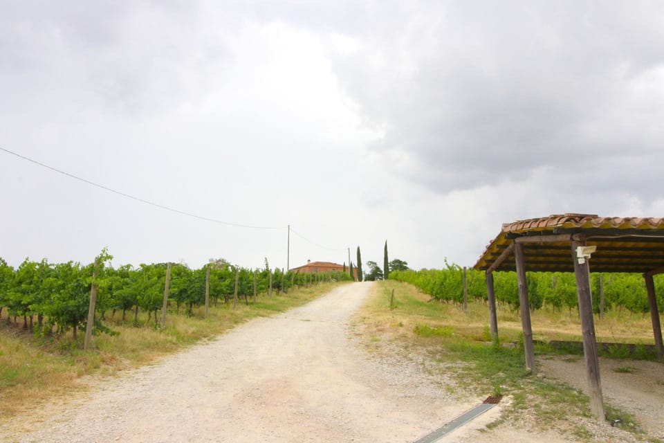 Cloud, Sky, Plant, Natural Landscape, Road Surface, Asphalt, Grass, Road, Landscape, Grassland
