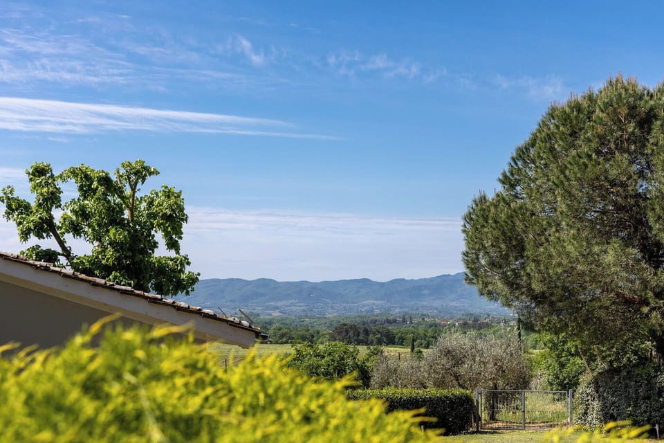 Outdoor, Scenic View
