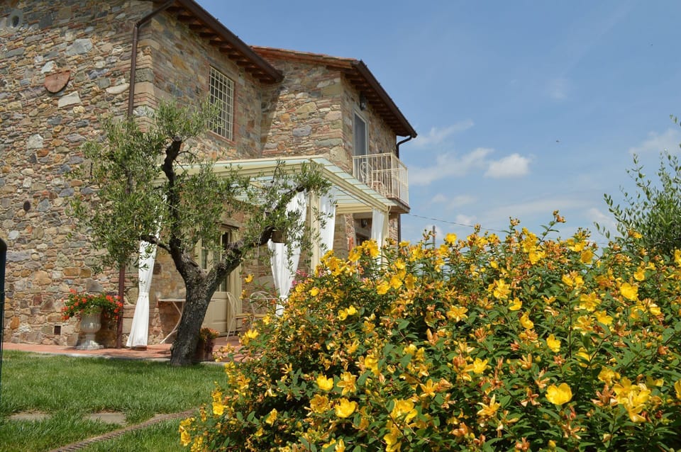 Balcony / Terrace / Patio, Building Exterior, Garden