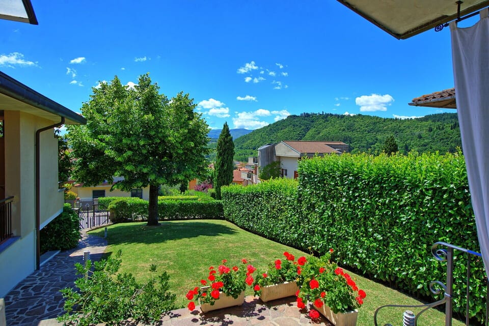 Garden, Outdoor, Scenic View