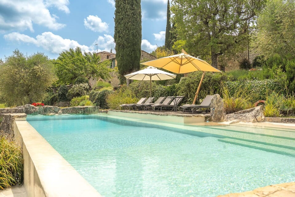 Swimming Pool, Shrub, Garden, Water Feature, Landscaping, Eco Hotel, Resort, Estate, Hacienda, Backyard