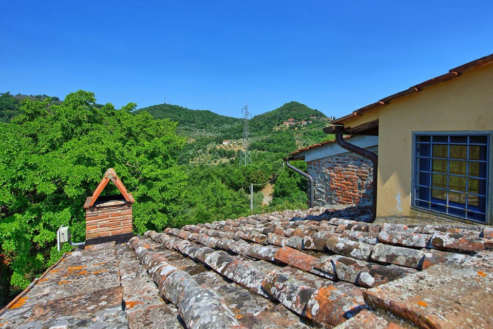Outdoor, Scenic View