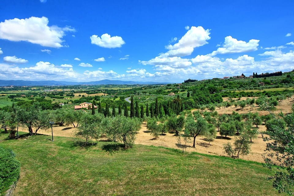 Outdoor, Scenic View, Summer