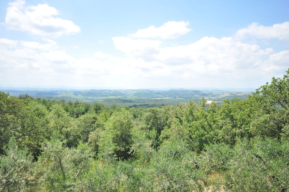 Vegetation, Shrubland, Natural Environment, Nature Reserve, Plant Community, Wilderness, Tree, Biome, Sky, Tropical And Subtropical Coniferous Forests