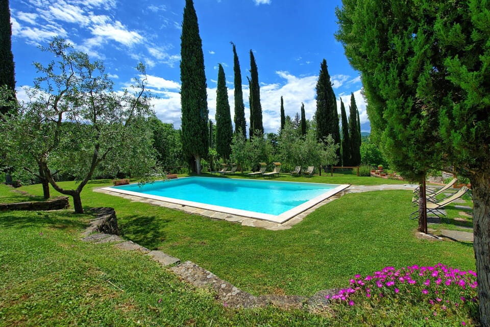 Garden, Outdoor, Pool