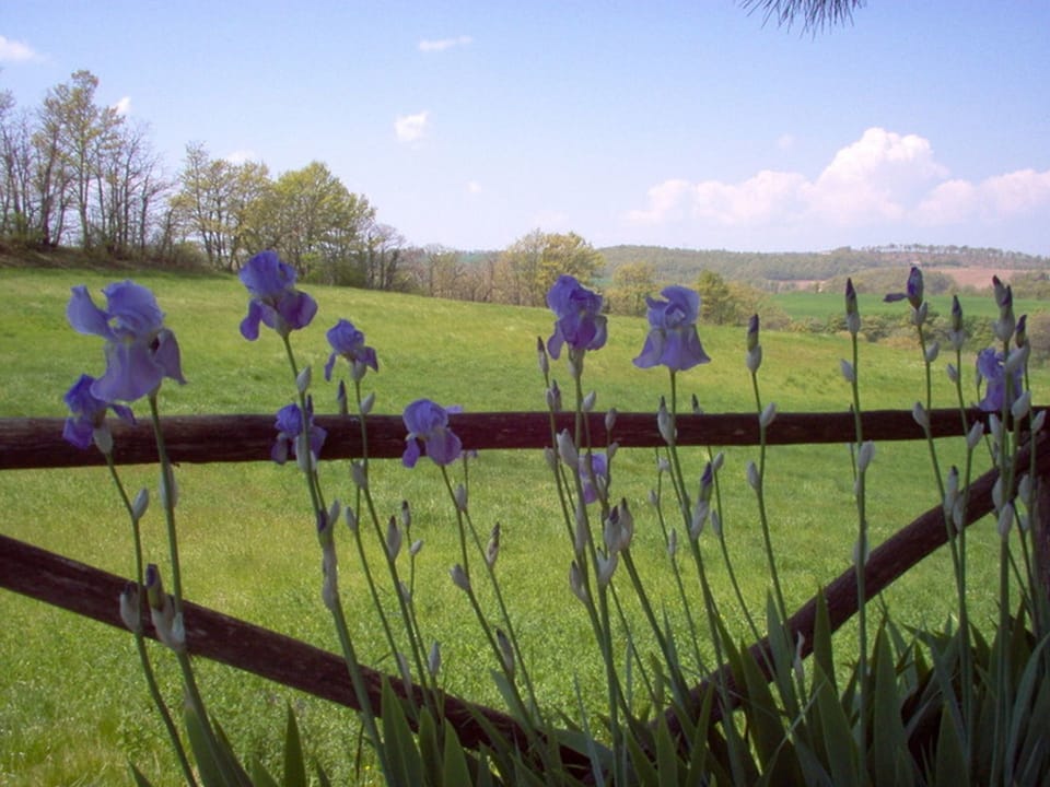 Garden, Outdoor