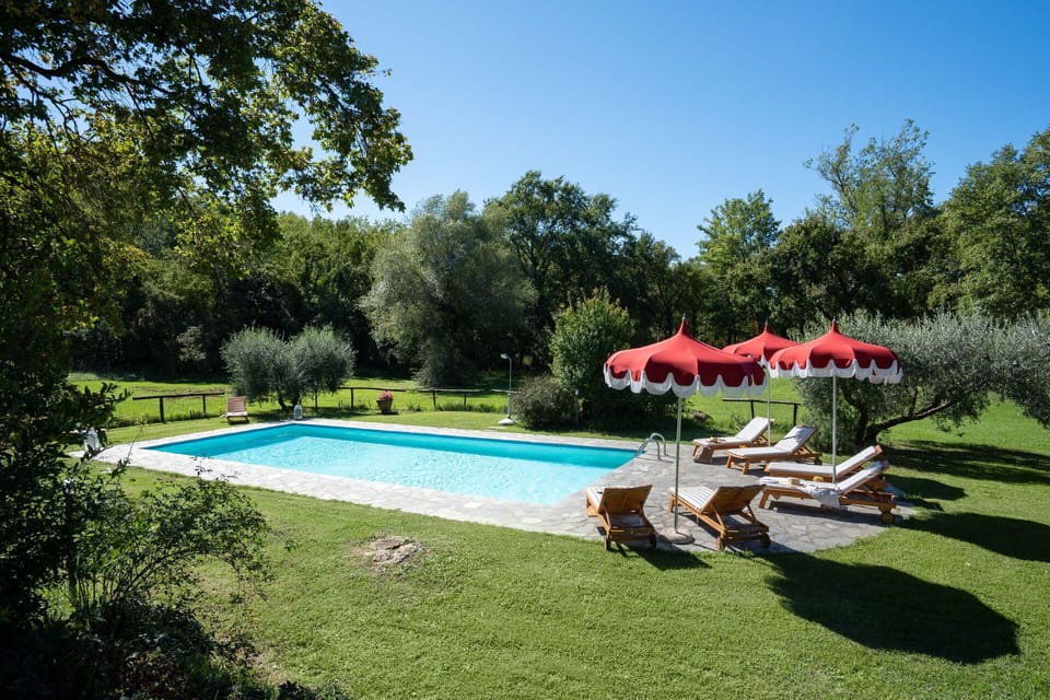 Plant, Water, Sky, Swimming Pool, Shade, Umbrella, Tree, Building, Outdoor Furniture, Chair