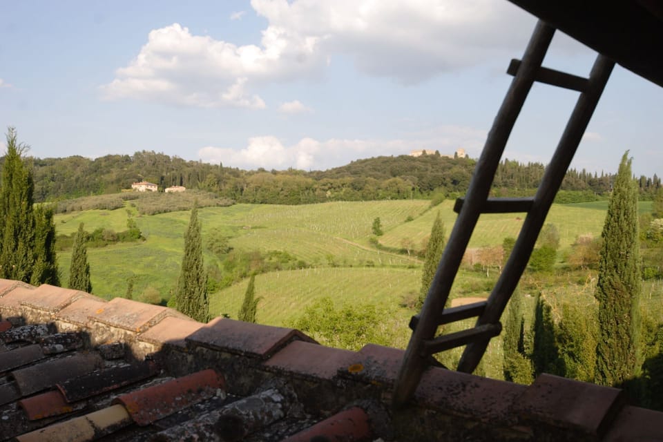 Scenic View