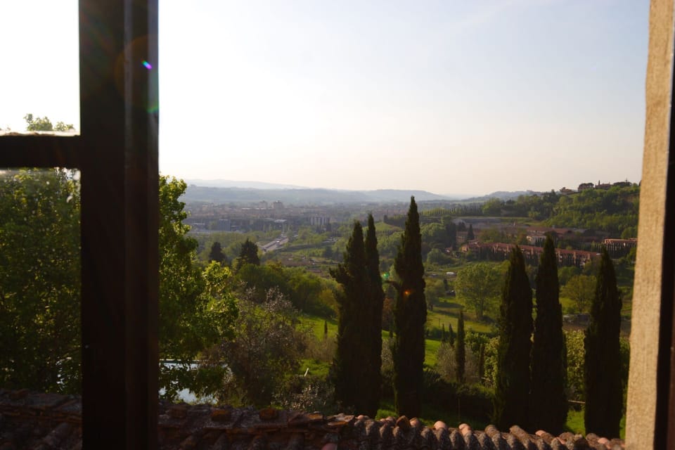 Scenic View