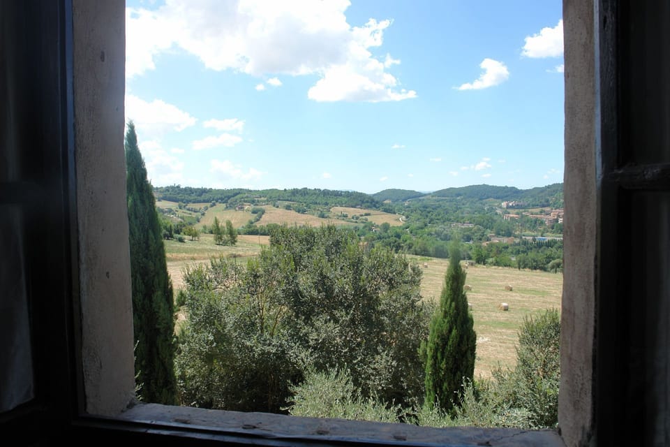 Scenic View