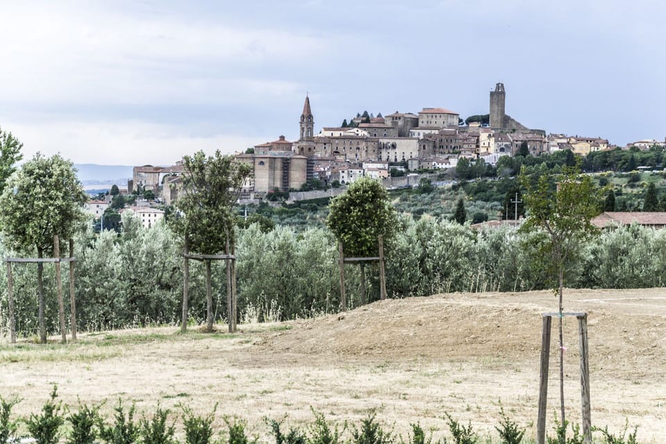 Panoramic view