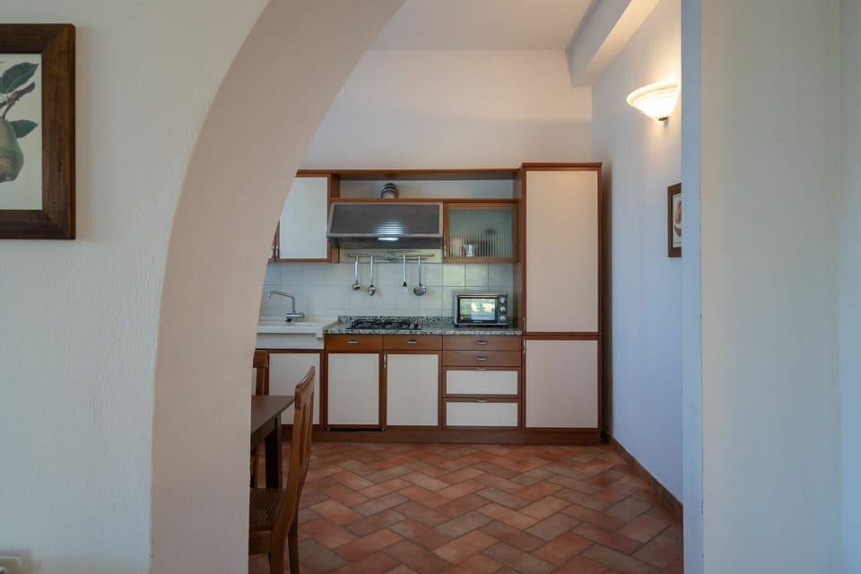 rocche-di-valiano-chianti-castelnuovo-berardenga-multiproprietà-geranio-kitchen