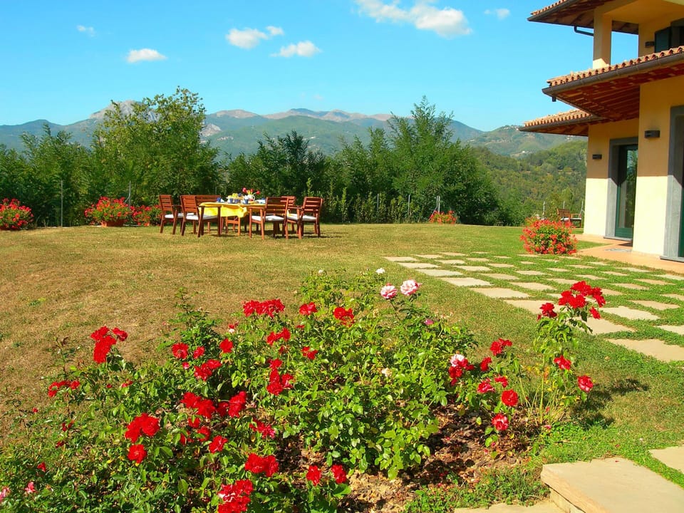 Garden, Outdoor