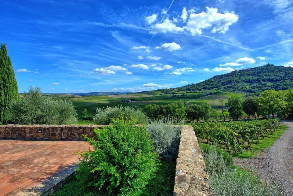 Garden, Scenic View