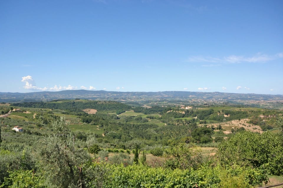 Scenic View