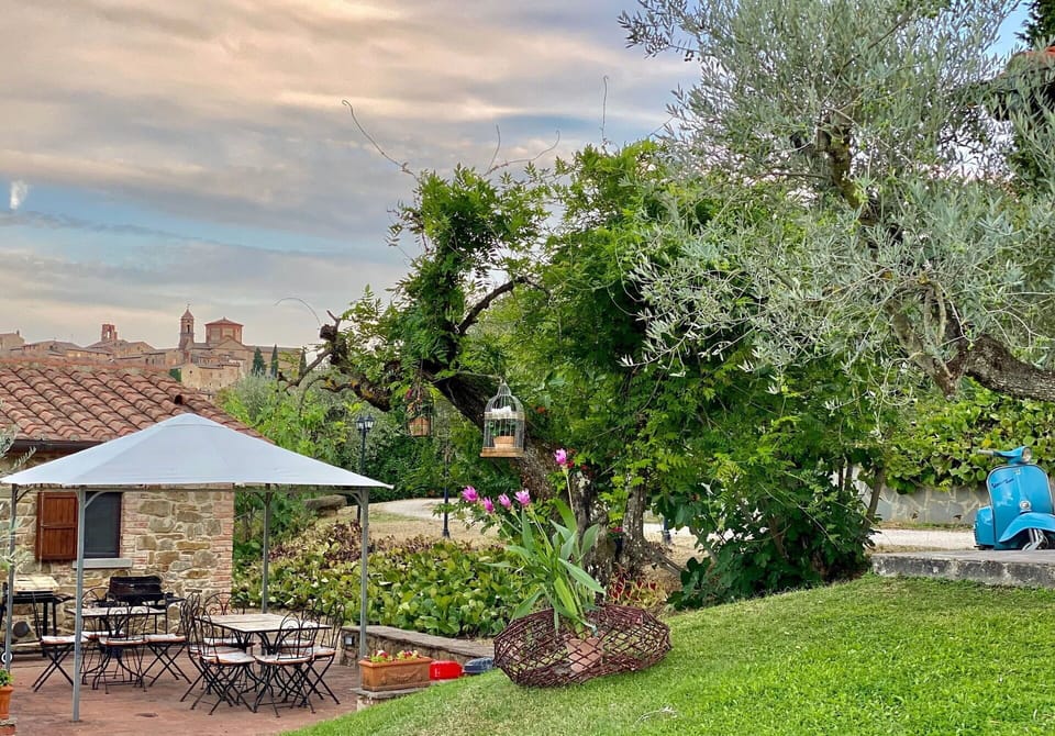 Garden, Outdoor, Scenic View