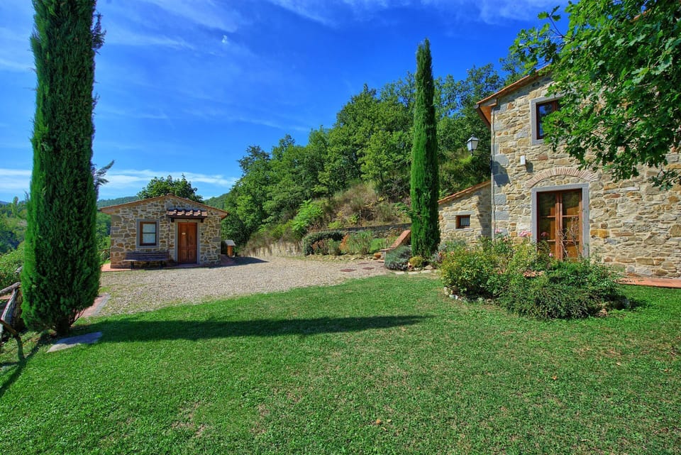 Garden, Outdoor, Pool