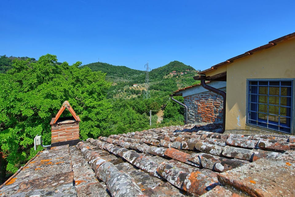 Outdoor, Scenic View