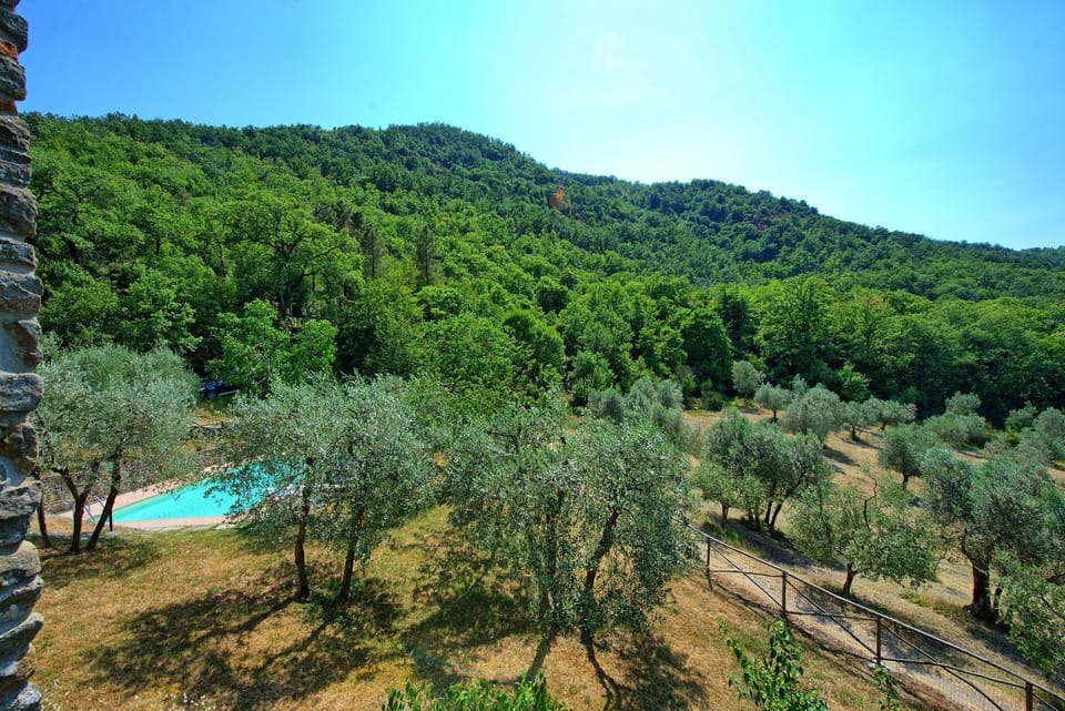 Outdoor, Scenic View