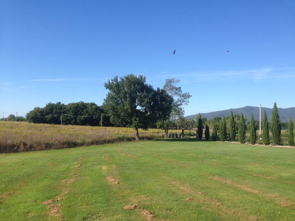 Garden, Scenic View