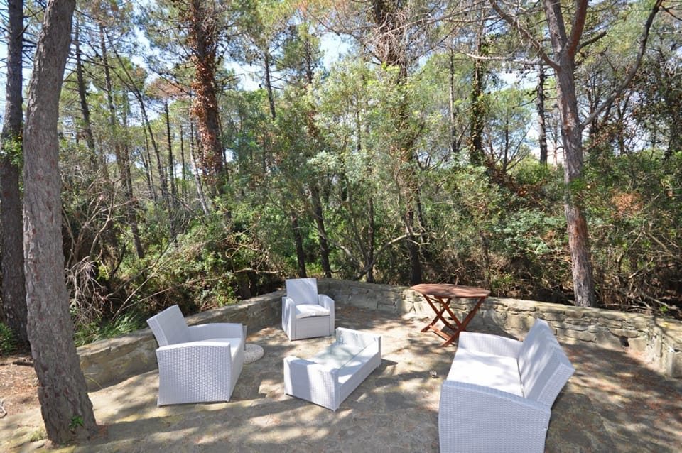 Garden, Outdoor