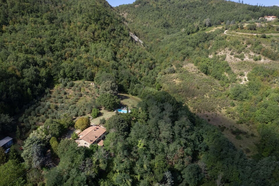 Building Exterior, Outdoor, Pool, Scenic View, Summer