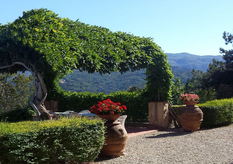 Balcony / Terrace / Patio