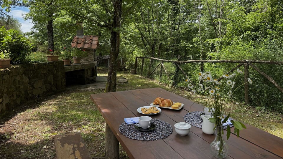 Wood, Trunk, Spring, Forest, Garden, Shade, Sunlight, Cottage, Woodland, Outdoor Table
