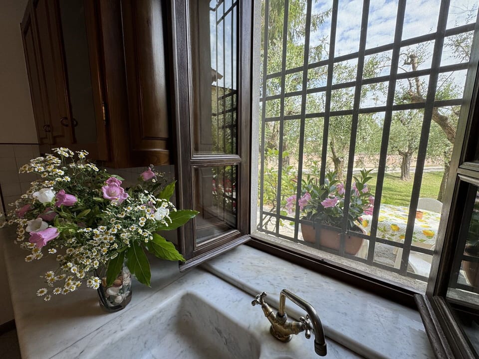 Glass, Flowerpot, Iron, Houseplant, Daylighting, Balcony