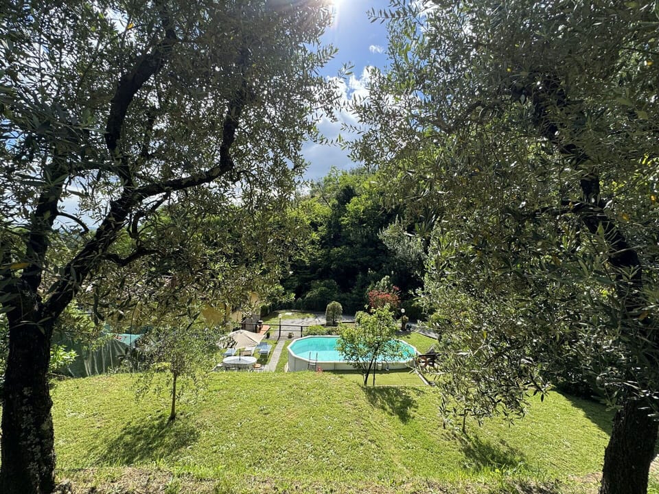 Plant, Plant Community, Sky, Tree, Natural Landscape, Shade, Land Lot, Vegetation, Sunlight, Biome