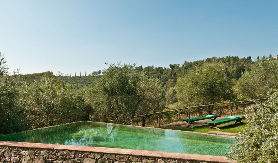 Pool, Scenic View