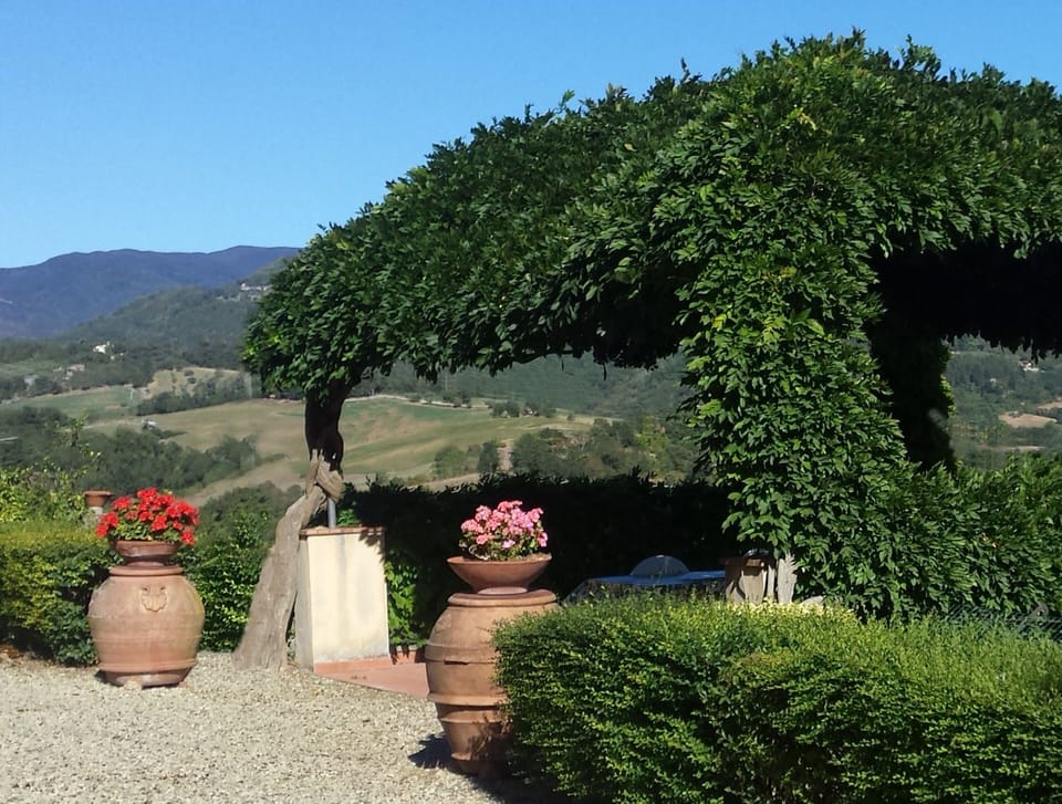 Balcony / Terrace / Patio